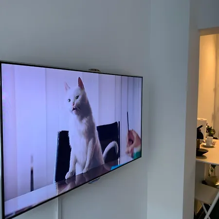 45 Croisette Apartament